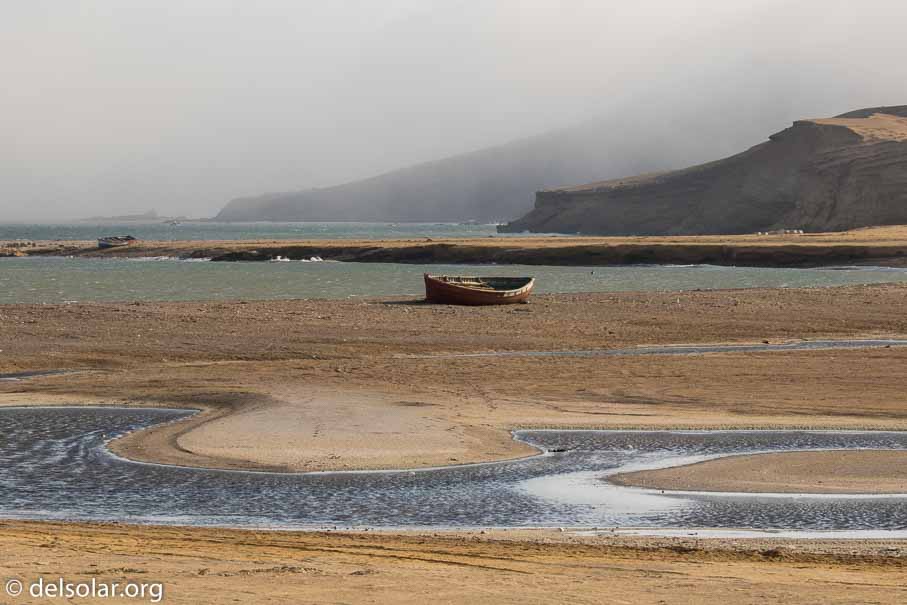 Canon EOS 7D Mark II  --  100 mm  --  EF100-400mm f/4.5-5.6L IS II USM  