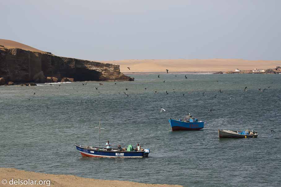 Canon EOS 5D Mark III  --  124 mm  --  EF100-400mm f/4.5-5.6L IS II USM  