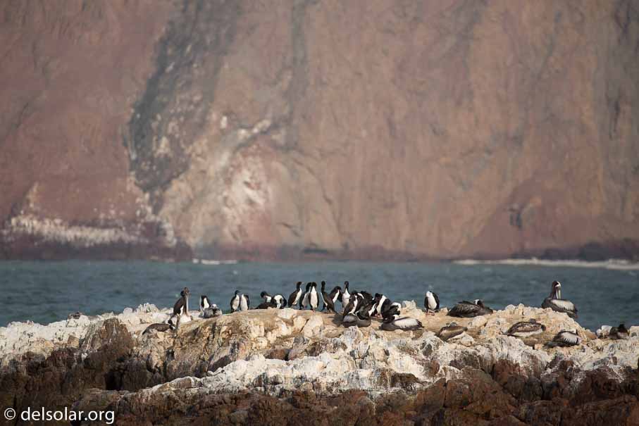 Canon EOS 5D Mark III  --  400 mm  --  EF100-400mm f/4.5-5.6L IS II USM  