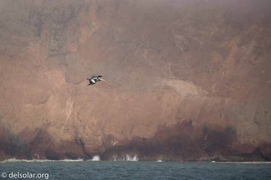 Canon EOS 5D Mark III  --  400 mm  --  EF100-400mm f/4.5-5.6L IS II USM  