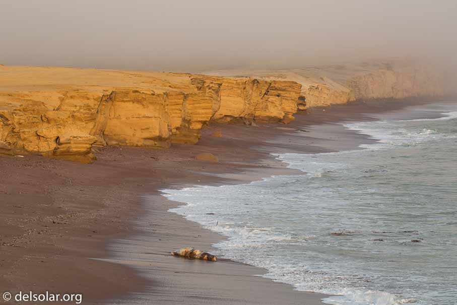 Canon EOS 5D Mark III  --  142 mm  --  EF100-400mm f/4.5-5.6L IS II USM  