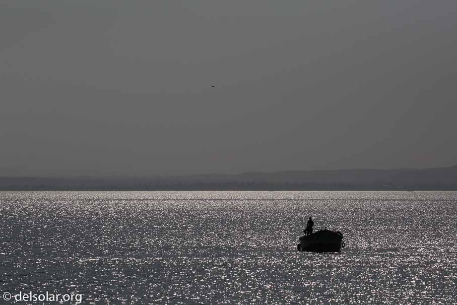 Canon EOS 5D Mark III  --  182 mm  --  EF100-400mm f/4.5-5.6L IS II USM  