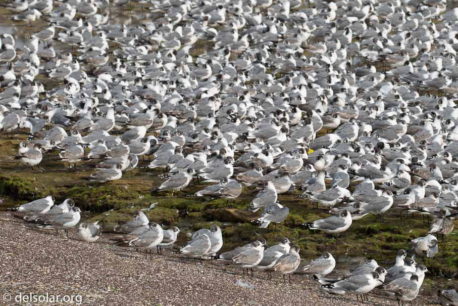 Canon EOS 5D Mark III  --  188 mm  --  EF100-400mm f/4.5-5.6L IS II USM  