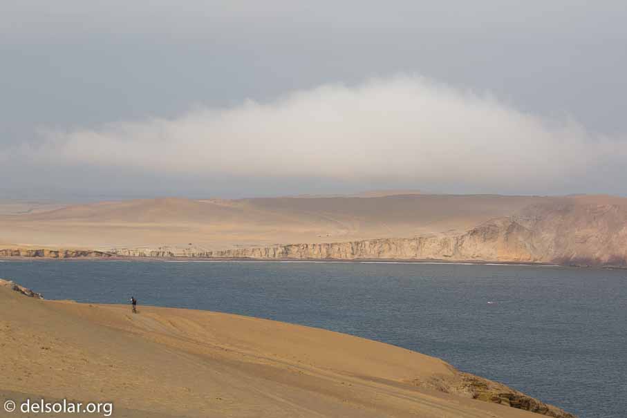 Canon EOS 5D Mark III  --  110 mm  --  EF100-400mm f/4.5-5.6L IS II USM  