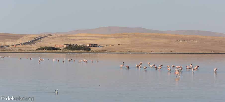 Canon EOS 5D Mark III  --  158 mm  --  EF100-400mm f/4.5-5.6L IS II USM  