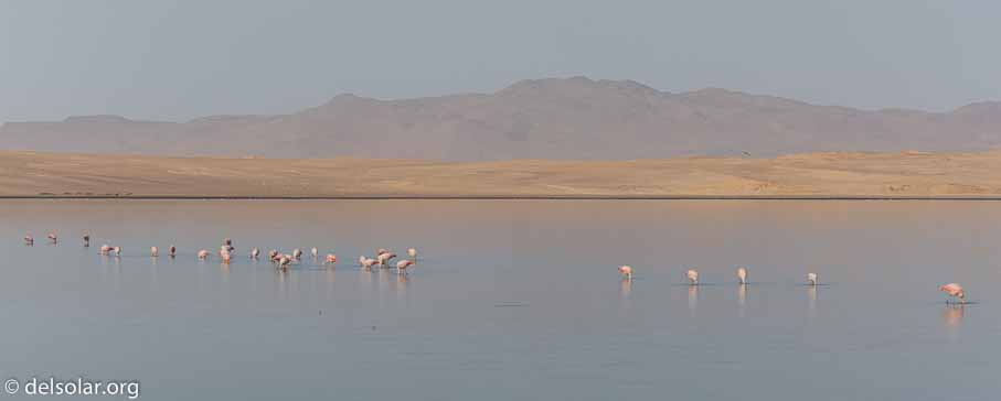 Canon EOS 5D Mark III  --  124 mm  --  EF100-400mm f/4.5-5.6L IS II USM  