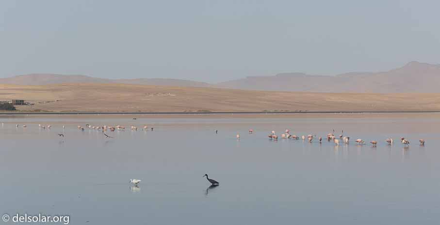 Canon EOS 5D Mark III  --  108 mm  --  EF100-400mm f/4.5-5.6L IS II USM  