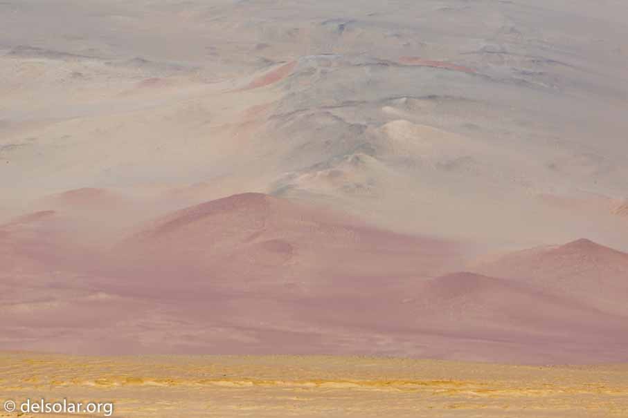 Canon EOS 5D Mark III  --  400 mm  --  EF100-400mm f/4.5-5.6L IS II USM  