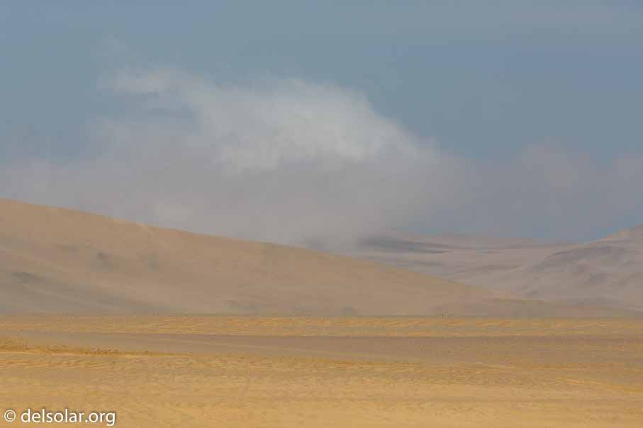 Canon EOS 5D Mark III  --  278 mm  --  EF100-400mm f/4.5-5.6L IS II USM  