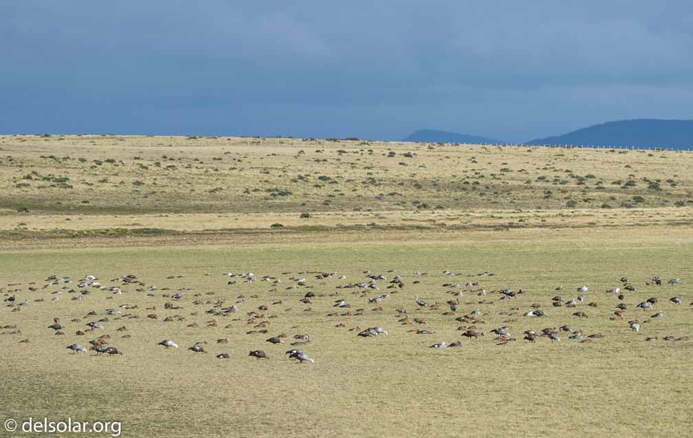 ILCE-6500  --  FE 200-600mm F5.6-6.3 G OSS -- 1/2000 sec at f / 7.1 -- ISO 320 -- 0 EV -- 