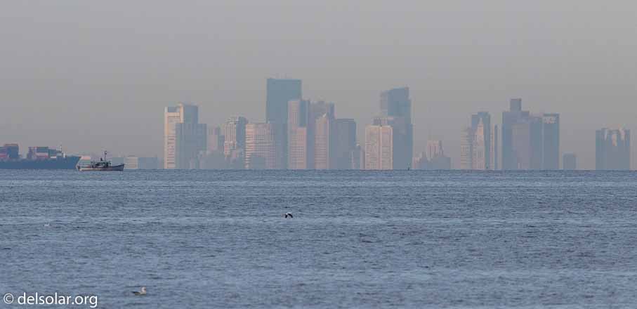 Canon EOS 7D Mark II  --  600 mm  --  EF600mm f/4L IS II USM  