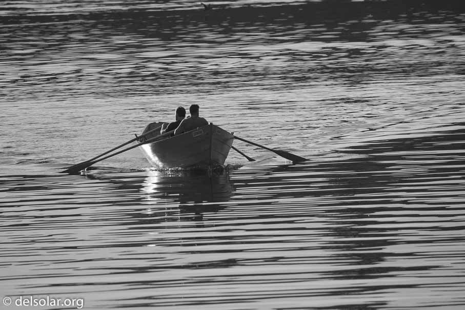 Canon EOS 5D Mark III  --  371 mm  --  EF100-400mm f/4.5-5.6L IS II USM  