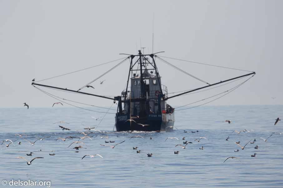 Canon EOS 5D Mark III  --  400 mm  --  EF100-400mm f/4.5-5.6L IS II USM  