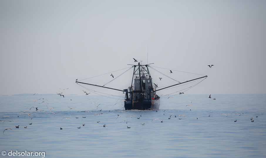 Canon EOS 5D Mark III  --  400 mm  --  EF100-400mm f/4.5-5.6L IS II USM  