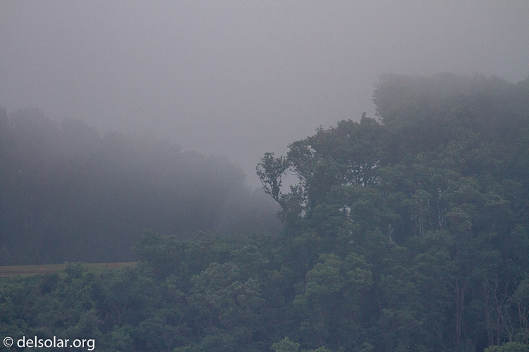 Canon EOS 7D  --  400 mm  --  EF100-400mm f/4.5-5.6L IS II USM  