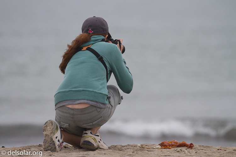 Canon EOS 7D  --  340 mm  --  EF100-400mm f/4.5-5.6L IS II USM  