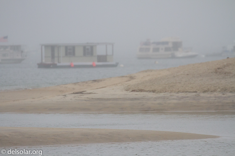 Canon EOS 7D  --  340 mm  --  EF100-400mm f/4.5-5.6L IS II USM  