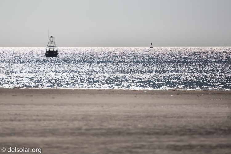 Canon EOS 5D Mark III  --  400 mm  --  EF100-400mm f/4.5-5.6L IS II USM  