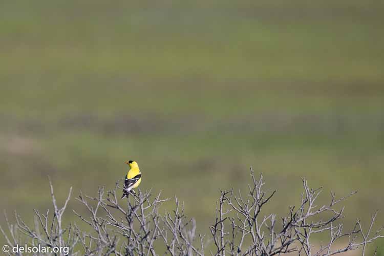 Canon EOS 5D Mark III  --  400 mm  --  EF100-400mm f/4.5-5.6L IS II USM  