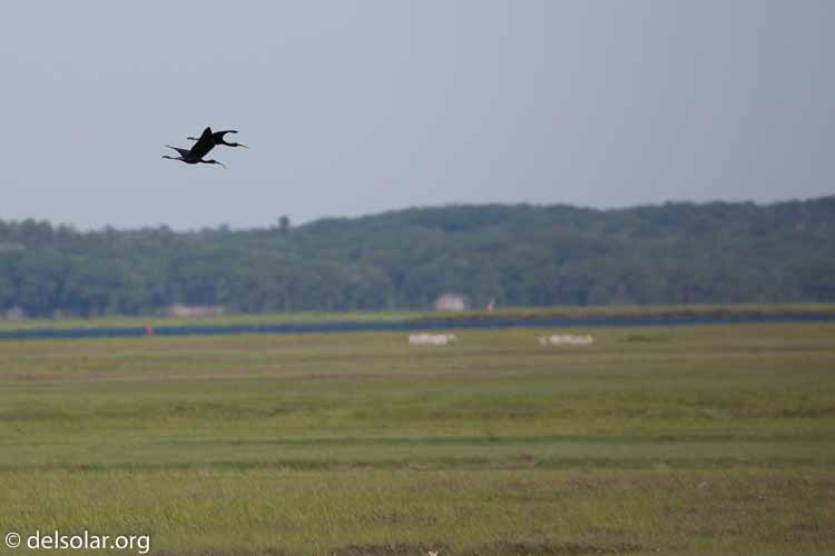 Canon EOS 5D Mark III  --  400 mm  --  EF100-400mm f/4.5-5.6L IS II USM  