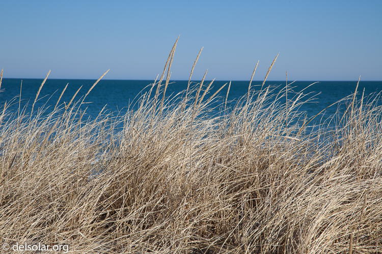 Canon EOS 5D Mark II  --  100 mm  --  EF24-105mm f/4L IS USM  