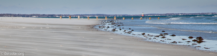 Canon EOS 5D Mark II  --  105 mm  --  EF24-105mm f/4L IS USM  