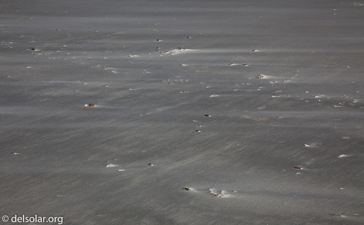 Canon EOS 5D Mark II  --  105 mm  --  EF24-105mm f/4L IS USM  