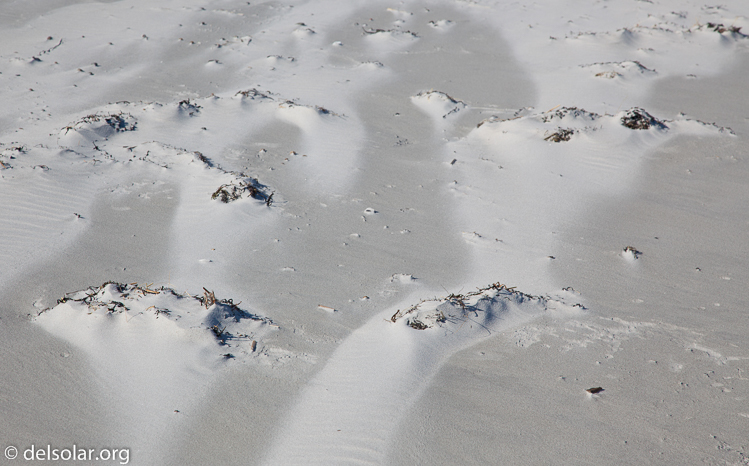 Canon EOS 5D Mark II  --  105 mm  --  EF24-105mm f/4L IS USM  