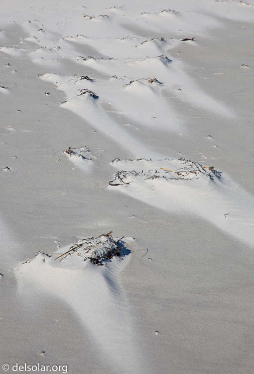 Canon EOS 5D Mark II  --  105 mm  --  EF24-105mm f/4L IS USM  