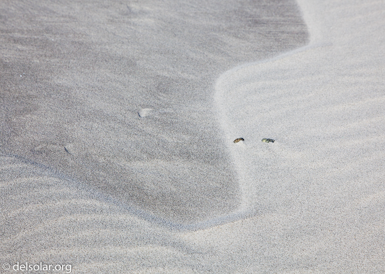 Canon EOS 5D Mark II  --  80 mm  --  EF24-105mm f/4L IS USM  