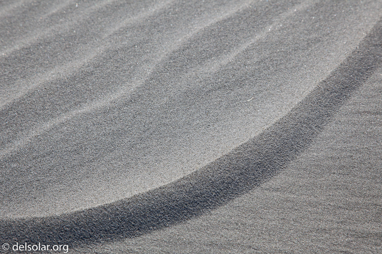 Canon EOS 5D Mark II  --  98 mm  --  EF24-105mm f/4L IS USM  