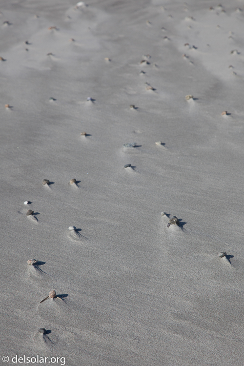 Canon EOS 5D Mark II  --  93 mm  --  EF24-105mm f/4L IS USM  