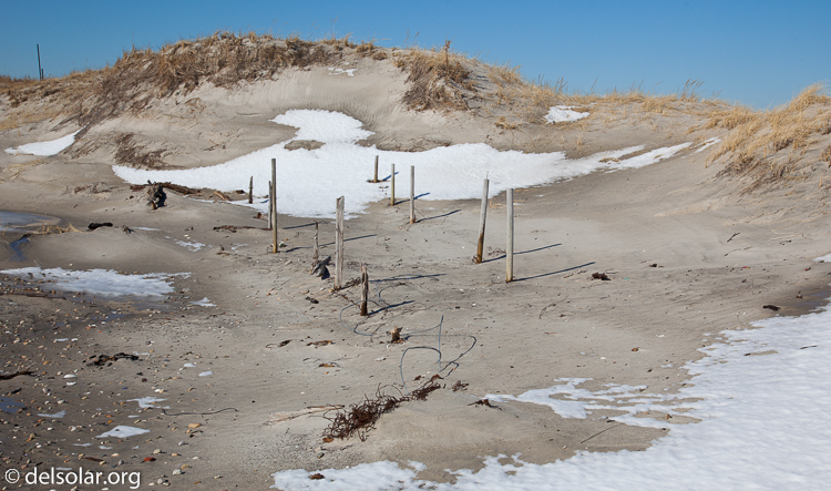 Canon EOS 5D Mark II  --  47 mm  --  EF24-105mm f/4L IS USM  