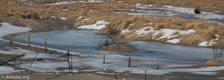 Canon EOS 5D Mark II  --  105 mm  --  EF24-105mm f/4L IS USM  