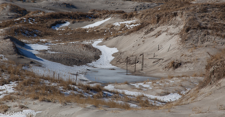 Canon EOS 5D Mark II  --  105 mm  --  EF24-105mm f/4L IS USM  