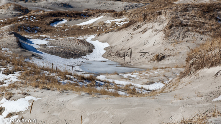 Canon EOS 5D Mark II  --  73 mm  --  EF24-105mm f/4L IS USM  