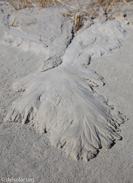 Canon EOS 5D Mark II  --  55 mm  --  EF24-105mm f/4L IS USM  