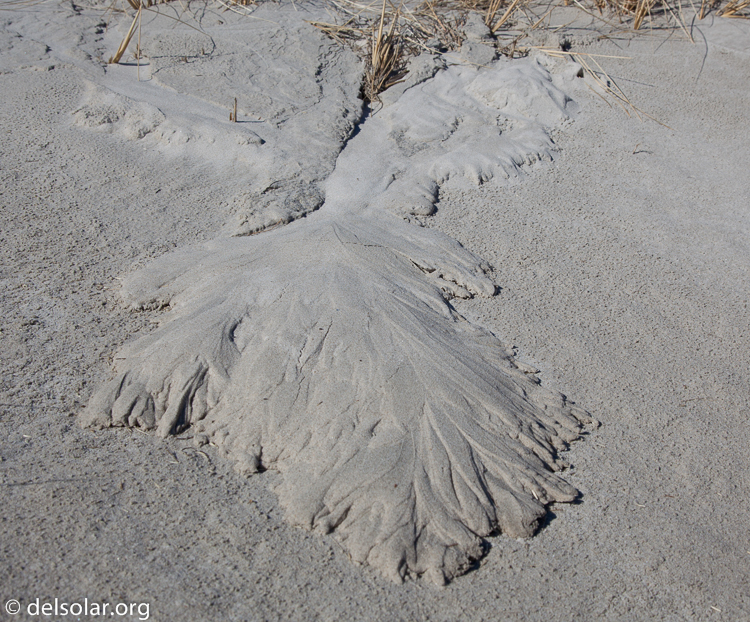 Canon EOS 5D Mark II  --  40 mm  --  EF24-105mm f/4L IS USM  