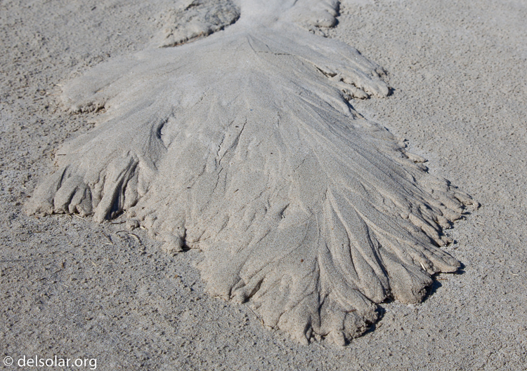 Canon EOS 5D Mark II  --  47 mm  --  EF24-105mm f/4L IS USM  