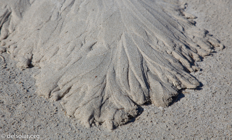 Canon EOS 5D Mark II  --  96 mm  --  EF24-105mm f/4L IS USM  