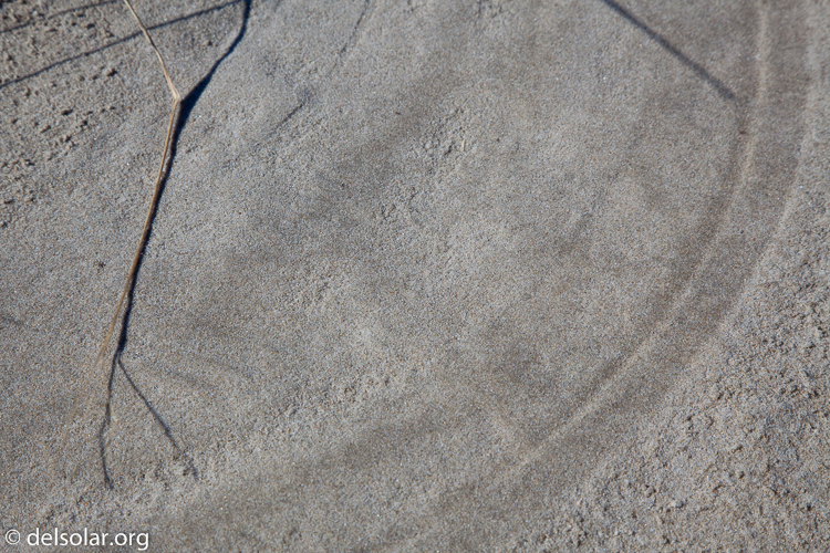 Canon EOS 5D Mark II  --  80 mm  --  EF24-105mm f/4L IS USM  