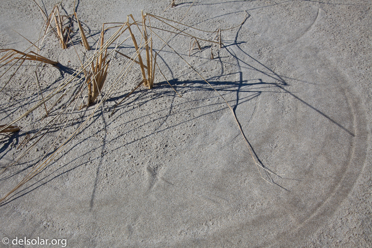 Canon EOS 5D Mark II  --  40 mm  --  EF24-105mm f/4L IS USM  