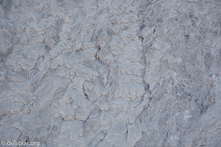 Canon EOS 5D Mark II  --  95 mm  --  EF24-105mm f/4L IS USM  