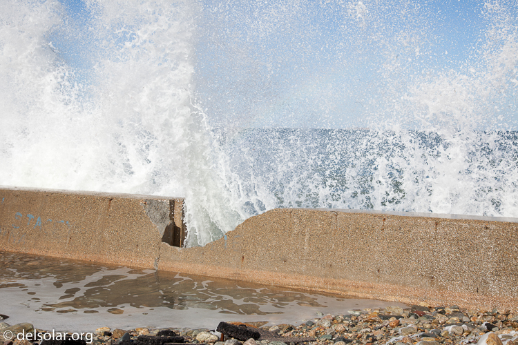 Canon EOS 5D Mark II  --  47 mm  --  EF24-105mm f/4L IS USM  