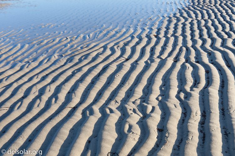 Canon EOS 5D Mark II  --  24 mm  --  12-24mm  