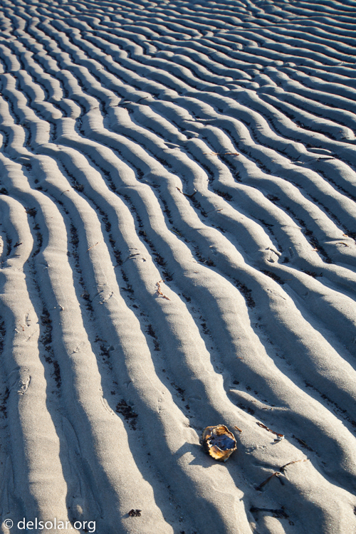 Canon EOS 5D Mark II  --  24 mm  --  12-24mm  