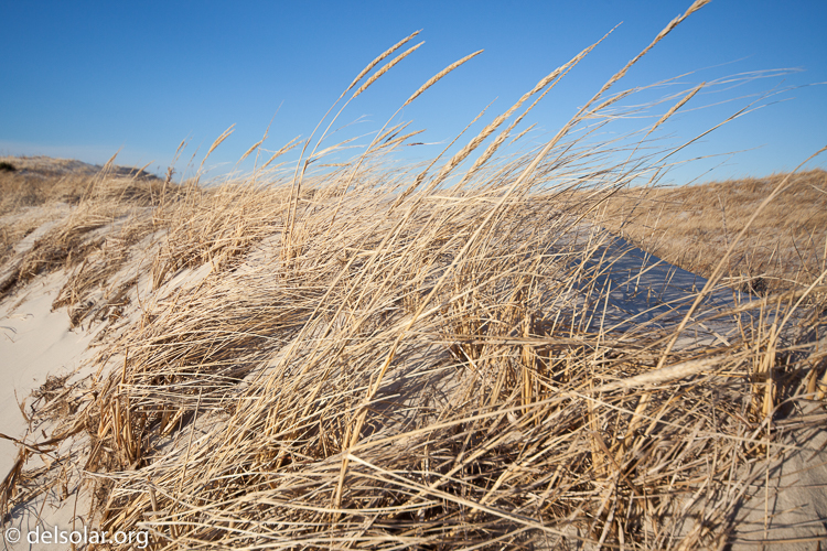 Canon EOS 5D Mark II  --  24 mm  --  12-24mm  