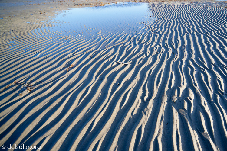 Canon EOS 5D Mark II  --  12 mm  --  12-24mm  