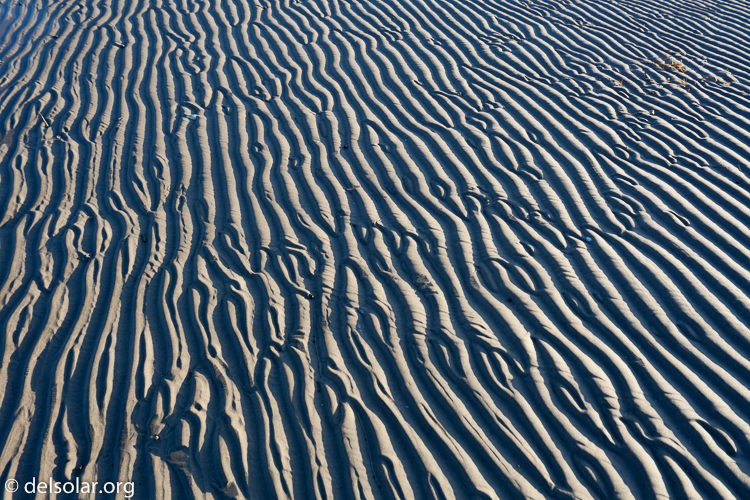 Canon EOS 5D Mark II  --  24 mm  --  12-24mm  