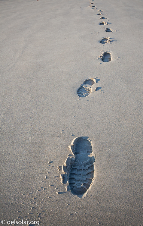 Canon EOS 5D Mark II  --  20 mm  --  12-24mm  